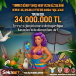 1751359163312.png