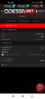 Screenshot_2020-10-17-14-03-03-713_com.android.chrome.jpg