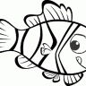 umut5437