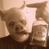 stonedpig
