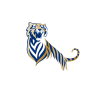 Tiger35