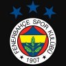 Tilki34
