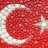 toprak06
