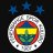 Tilki34